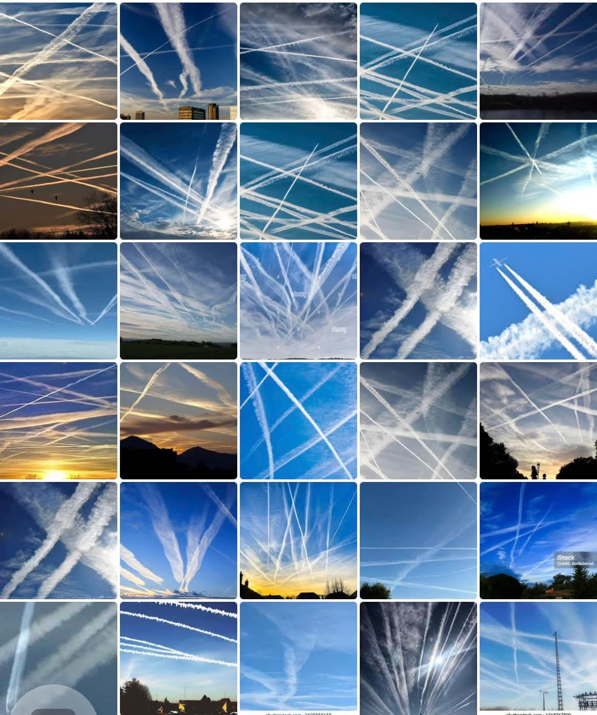 Examples of citizen-submitted sky observations showing various trail patterns and atmospheric phenomena